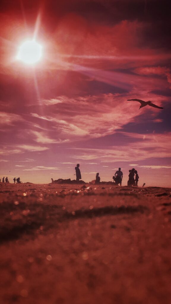 Strand De Panne - (c) Jeroen Bernaer